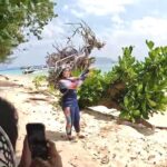 นักท่องเที่ยว แห่เซลฟี่ขอนไม้ยักษ์รูปร่างสวยแปลกตา สัญลักษณ์เด่น ริมหาดเกาะกระดาน  