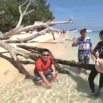 นักท่องเที่ยว แห่เซลฟี่ขอนไม้ยักษ์รูปร่างสวยแปลกตา สัญลักษณ์เด่น ริมหาดเกาะกระดาน  