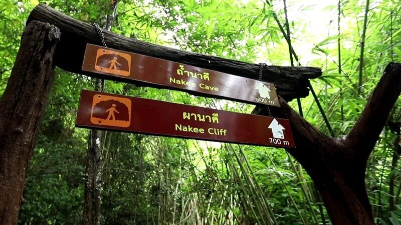 เร่งระดมเจ้าหน้าที่ดับไฟป่า อช.ภูลังกา หลังลุกลาม 300 ไร่ ปิดเส้นทางขึ้นถ้ำนาคี  
