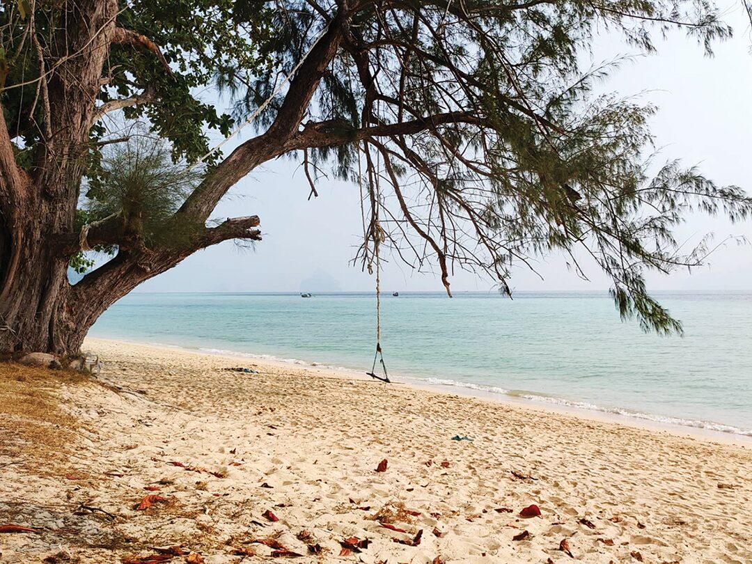 หลาก&หลาย - ‘จูราสสิค เวิลด์ 4’ปักหมุด ถ่ายทำบนเกาะดัง 3 อุทยานฯ