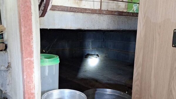 ตายายกลับจากซื้อของ ลมแทบจับ งูจงอาง โผล่ชูคอใต้ถุนบ้าน ยาวกว่า 3 เมตร โทรเรียกกู้ภัยช่วยจับวุ่น เชื่อมาให้โชค เตรียมซื้อเลขเด็ดนี้เสี่ยงดวง