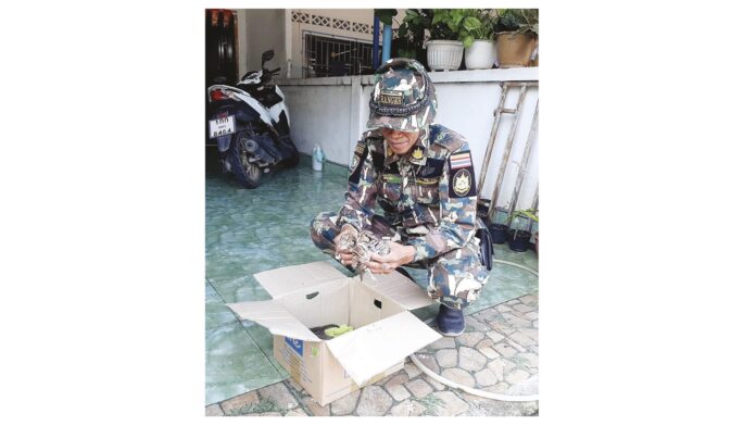 เพื่อนตัวเล็ก