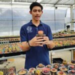 รวยไม่ตั้งตัว! หนุ่มหนีกรุงกลับบ้านปลูก 'แคคตัส' ขายออนไลน์ ยุโรป-เอเชีย โกยเงินแสน 