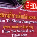 แห่ชมความงามดอกหญ้าเขาใหญ่ นักท่องเที่ยวกว่า 3 หมื่นคน ร่วมสัมผัสธรรมชาติ
