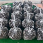 ราคาลดฮวบ "เห็ดถอบ" ล้นตลาด เหลือลิตร 70 บาท เตือนเห็ดถอบมหาศาล เพื่อนบ้าน จ่อทะลักเข้าไทย