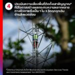 “โลกเดือด” เป็นเรื่องของทุกคน!