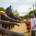ปางช้างสวนนงนุช จัดพิธีรับขวัญลูกช้างแฝด เชือกละแม่ สุดยิ่งใหญ่