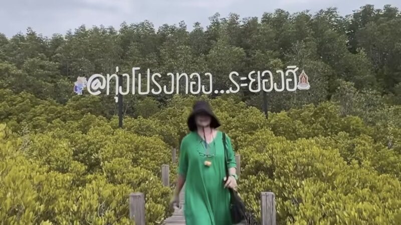 แม่หมู ไม่เหงาภาคต่อ