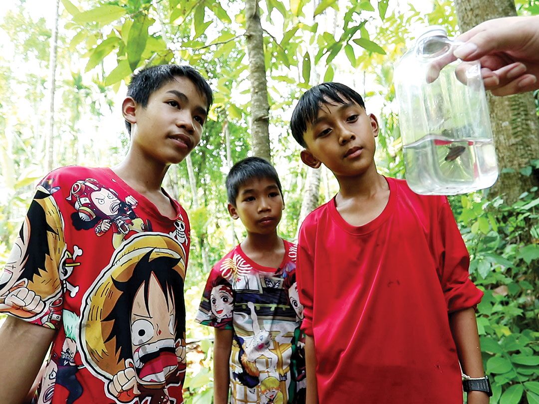 สดจากเยาวชน