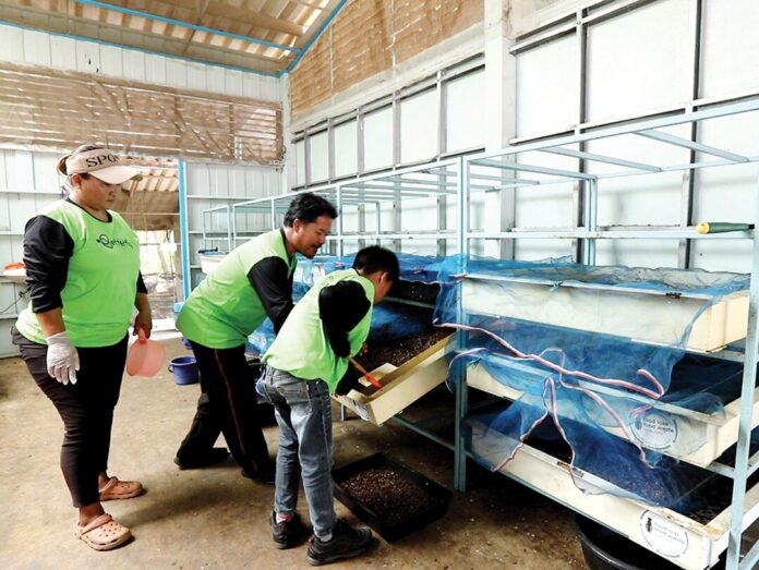 สดจากเยาวชน - หนอนฮีโร่ BSF ผู้พิทักษ์เกาะสีชัง