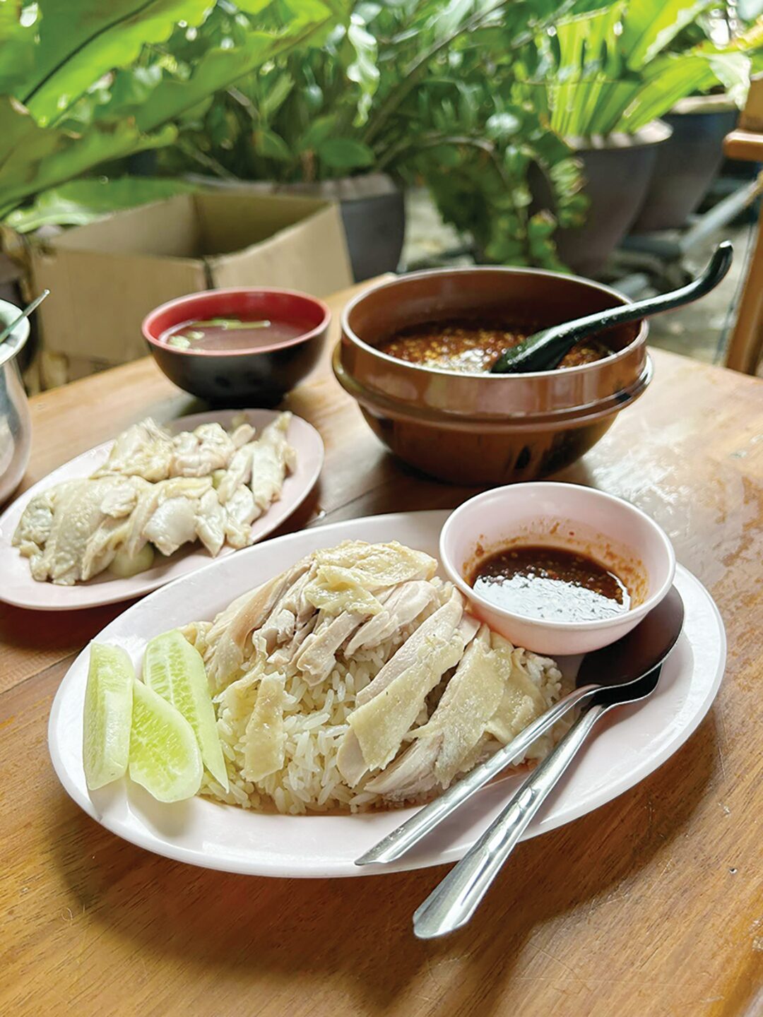 สวรรค์ในครัว - เจ้าเด็ด‘อรข้าวมันไก่ตอน’ ไก่เนื้อนุ่มฉ่ำ-น้ำจิ้มอร่อย 