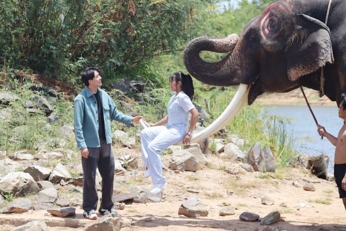 จับกระแสลูกทุ่ง