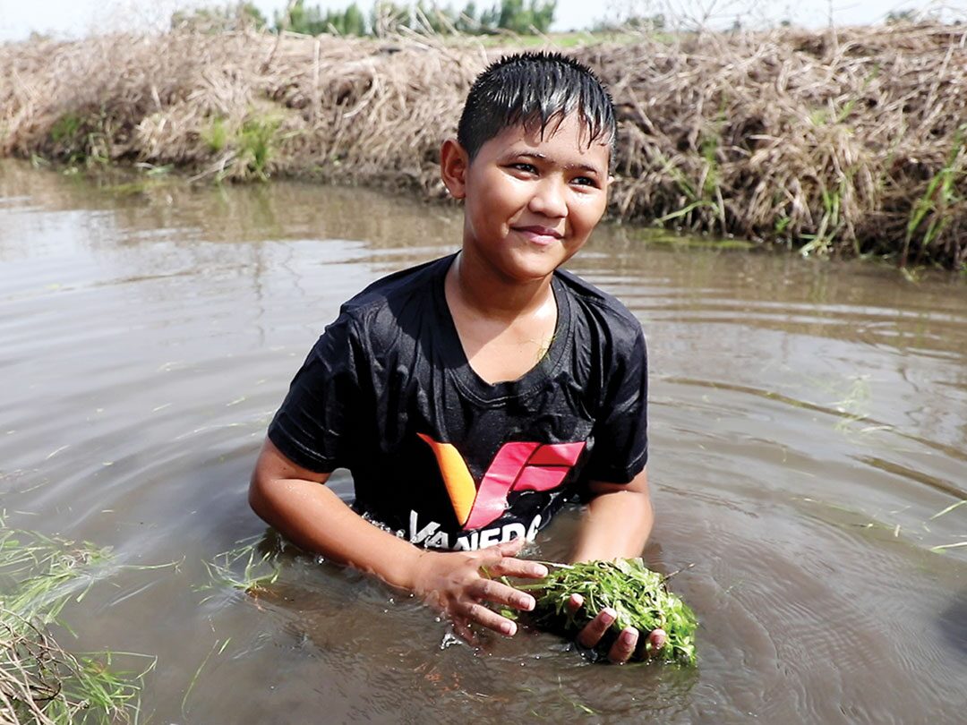 สดจากเยาวชน