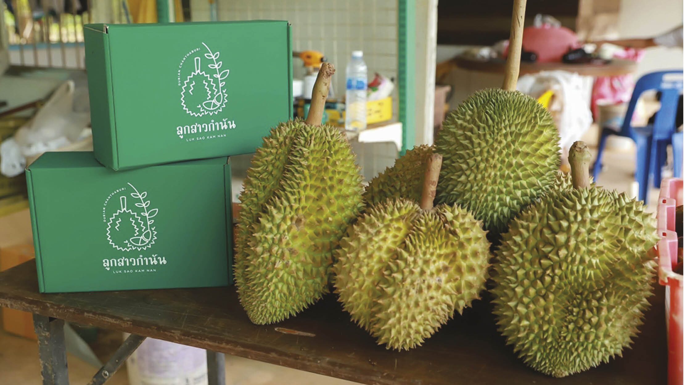 สินค้าทุเรียนแบรนด์ลูกสาวกำนัน
