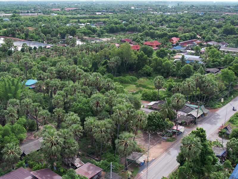 สดจากเยาวชน - เยือนถิ่นหอมหวาน หมู่บ้านน้ำตาลสด