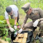 ตร.ตรวจยึดกระบะขนยาบ้าเกือบแสนเม็ด พบเพิ่งแหกด่านหนีซุกป่าละเมาะ เร่งสืบจับคนร้าย