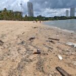 กรมทะเล ลุยตรวจคราบน้ำมันชายหาดชลบุรี เร่งเก็บคราบ-ฟื้นฟู คาดมีคนลักลอบทิ้งคราบน้ำมัน