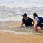 จนท.เร่งช่วยชีวิตโลมา คลื่นซัดขึ้นเกยตื้นหาดในทอน สภาพอ่อนแรง รีบรักษา-พักฟื้น ปล่อยคืนทะเล