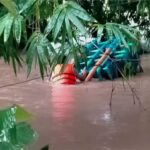 ฝนกระหน่ำหนักทั้งคืน น้ำป่าไหลหลากแรง ถล่มอำเภอภูซางกลางดึก 5 ตำบลอ่วม ชาวบ้านหนีตายวุ่น