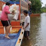 กรมควบคุมโรค เตือนฤดูฝน เสี่ยงติดเชื้อโรคไข้ฉี่หนูสูง ครึ่งปีป่วย 1,500 ราย ตาย 17 คน แนวโน้มเพิ่มขึ้น