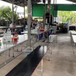 ผัดไทยโบราณ 123ปี แห่งความอร่อย ส่งต่อรุ่นที่5 กลิ่นหอม-รสชาติถูกปาก