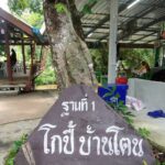 ชุมชนบ้านโตนปาหนัน พร้อมเสิร์ฟ เทมปุระผักพื้นบ้าน เมนูเด็ดสดใหม่ นักท่องเที่ยวชื่นชอบ 