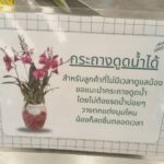 แอร์ออร์คิดส์ ซุปเปอร์มาเก็ตกล้วยไม้ แย้มนวัตกรรมเลี้ยงกล้วยไม้ใหม่ สวยงาม-เสริมฮวงจุ้ย