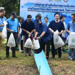 ม.เกษตรฯ ปลูกข้าว วันแม่ 2567 ปล่อยปลา-ะปลูกไม้ป่าให้ดอก มุ่งสู่ความเป็นกลางคาร์บอน