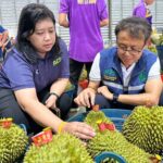 มกอช. ขานรับ 'รมว.เกษตรฯ' ลุยสวน ผลิตทุเรียนคุณภาพเพื่อส่งออก ผู้ประกอบการตอบรับ