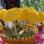สมาคมผู้บริโภคอินทรีย์ไทย จับมือ ททท. ส่งเสริม “ท่องเที่ยววิถีอินทรีย์ Organic Tourism”