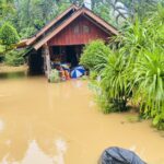 ฝนตกหนัก น้ำป่าไหลเชี่ยวแรง ทะลักท่วม 3 อำเภอ 1 เกาะ ชาวบ้าน 230 ครัวเรือนเดือดร้อนหนัก