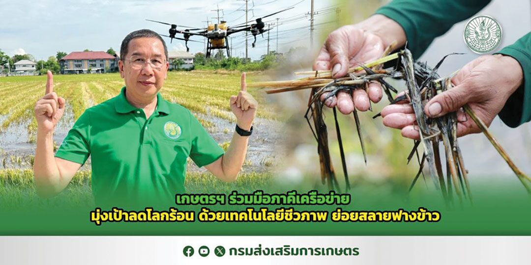 หลาก&หลาย