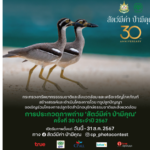 โค้งสุดท้าย! ประกวดภาพถ่าย ‘สัตว์มีค่า ป่ามีคุณ’ ประจำปี 2567