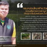 กรมหม่อนไหมแนะเกษตรกรดูแลแปลงหม่อนในสถานการณ์น้ำท่วม