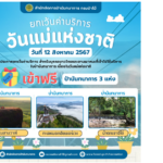 กรมป่าไม้ ชวนคุณลูกพาคุณแม่ท่องเที่ยวฟรี! เนื่องในวันแม่แห่งชาติ 12 สิงหานี้