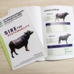 มูลนิธิเจริญโภคภัณฑ์-ม.เกษตรฯจัดทำหนังสือ ความสามารถทางพันธุกรรมพ่อแม่พันธุ์กระบือ