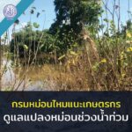 กรมหม่อนไหมแนะเกษตรกรดูแลแปลงหม่อนในสถานการณ์น้ำท่วม