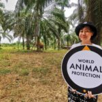 4 ปางช้างไทย ชนะใจนักท่องเที่ยวทั่วโลก