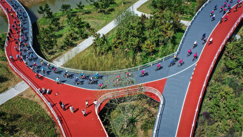 ผู้ที่ชื่นชอบการปั่นจักรยานปั่นจักรยานไปตามเส้นทาง Sunshine Coast Greenway ในเมืองรื่อจ้าว มณฑลซานตงทางตะวันออกของจีน (ภาพถ่าย/ หลี่ปิง) ผู้ที่ชื่นชอบการปั่นจักรยานปั่นจักรยานไปตามเส้นทาง Sunshine Coast Greenway ในเมืองรื่อจ้าว มณฑลซานตงทางตะวันออกของจีน (ภาพถ่าย/ หลี่ปิง)