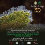 โค้งสุดท้าย! ประกวดภาพถ่าย ‘สัตว์มีค่า ป่ามีคุณ’ ประจำปี 2567