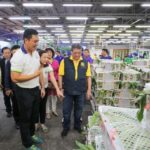 รัฐ-เอกชน แก้ปัญหาลำไยตั้งแต่ต้นทาง อัพเกรดส่งออกลุยขายตลาดอินเดีย
