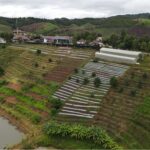 ผลสัมฤทธิ์งาน ‘สืบสาน รักษา ต่อยอด’ ศูนย์พัฒนาโครงการหลวงเลอตอ