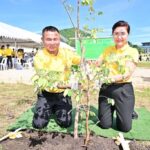 TCMA ร่วมกองทัพอากาศ โครงการนคราฟ้าร่วมใจ ปลูกต้นไม้เพิ่มพื้นที่สีเขียว