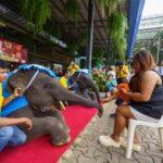สวนนงนุชพัทยาคึกคัก ทุกคนพาแม่เที่ยวฟรีในวันแม่แห่งชาติ