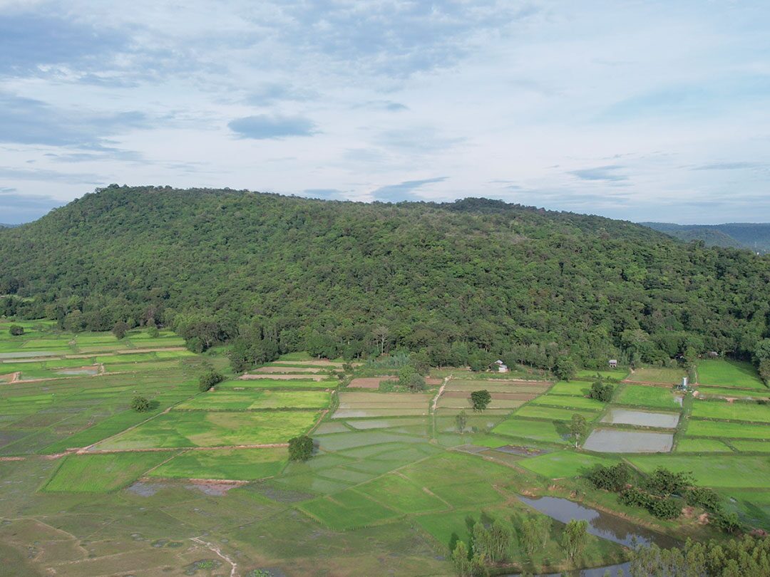 สดจากเยาวชน