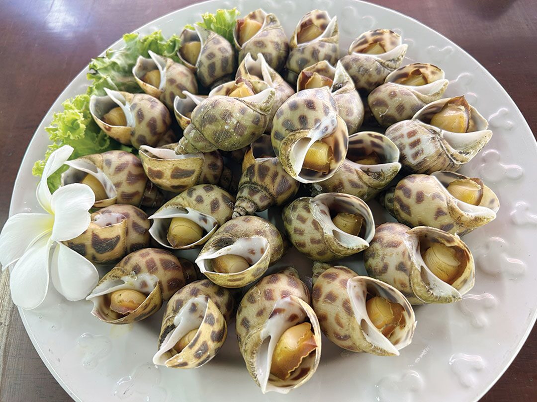 หลาก&หลายอิ่มอร่อย