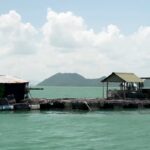 โก โฮลเซลล์ หนุนประมงพื้นบ้าน ขนทัพ “กุ้งมังกร7สีภูเก็ต” ดันสู่ร้านอาหารทั่วไทย