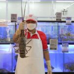 โก โฮลเซลล์ หนุนประมงพื้นบ้าน ขนทัพ “กุ้งมังกร7สีภูเก็ต” ดันสู่ร้านอาหารทั่วไทย