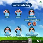 กรมควบคุมโรค เตือนฤดูฝน เสี่ยงติดเชื้อโรคไข้ฉี่หนูสูง ครึ่งปีป่วย 1,500 ราย ตาย 17 คน แนวโน้มเพิ่มขึ้น
