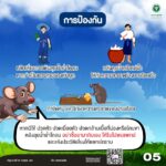 กรมควบคุมโรค เตือนฤดูฝน เสี่ยงติดเชื้อโรคไข้ฉี่หนูสูง ครึ่งปีป่วย 1,500 ราย ตาย 17 คน แนวโน้มเพิ่มขึ้น
